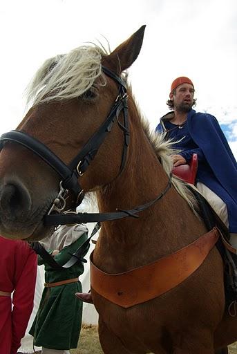 Knight Muret 1213-2013 Chevalier de Drouie Knight Muret 1213-2013 Chevalier de Drouie