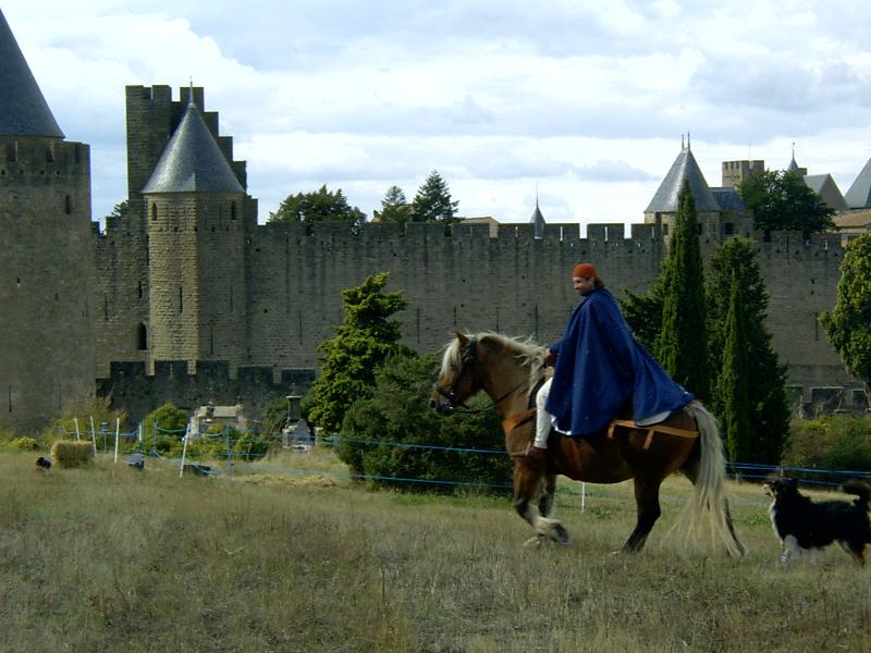 Knight Muret 1213-2013 Chevalier de Drouie Knight Muret 1213-2013 Chevalier de Drouie